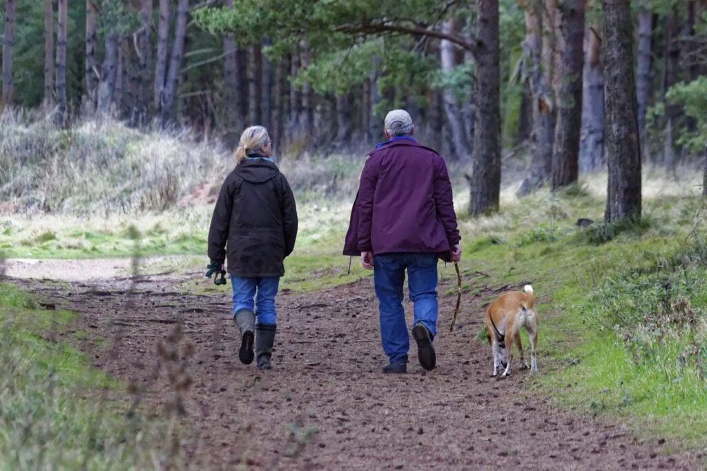 Beat Illnesses with Every Step: The Optimal Daily Walking Goal