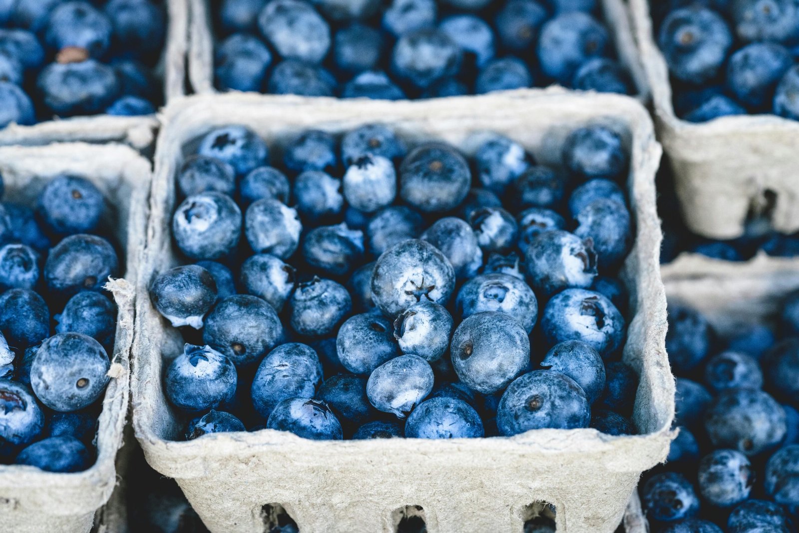 Benefits of Blueberry Benefits of Blueberry